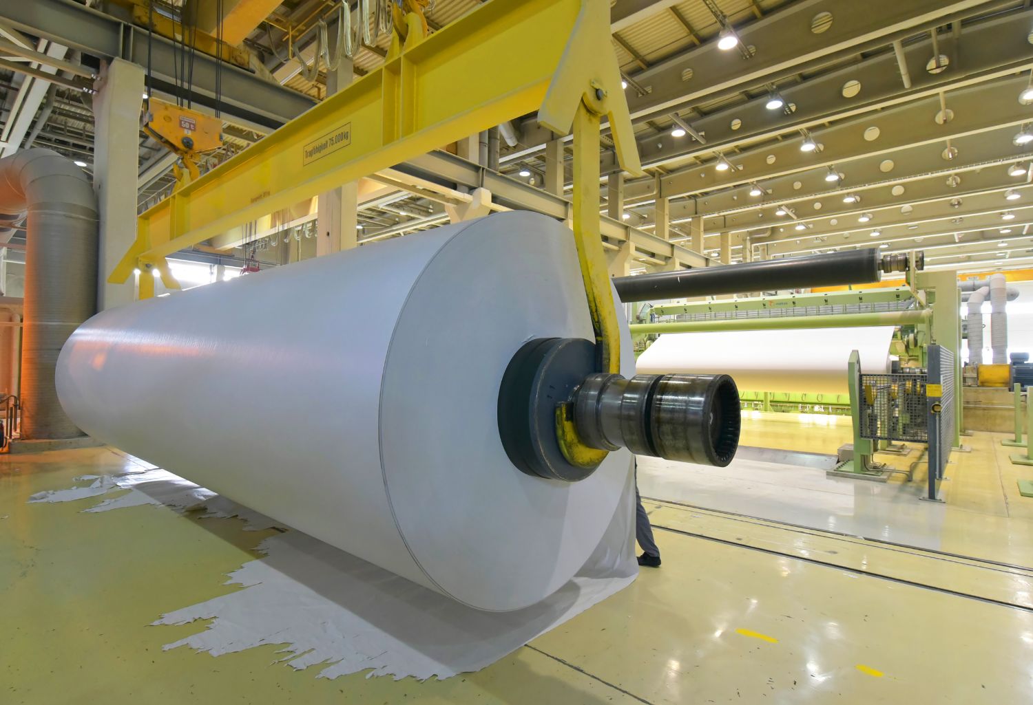 Paper Mill: production of paper rolls for the printing industry - paper rolls in a factory representing Collection Agency for Paper Manufacturing